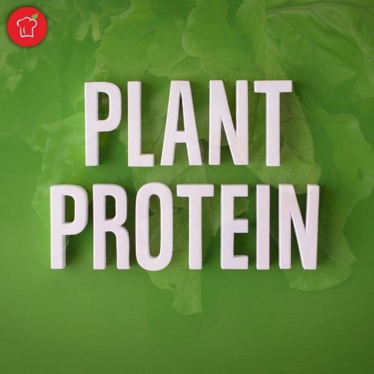 Top sources of plant-based protein
