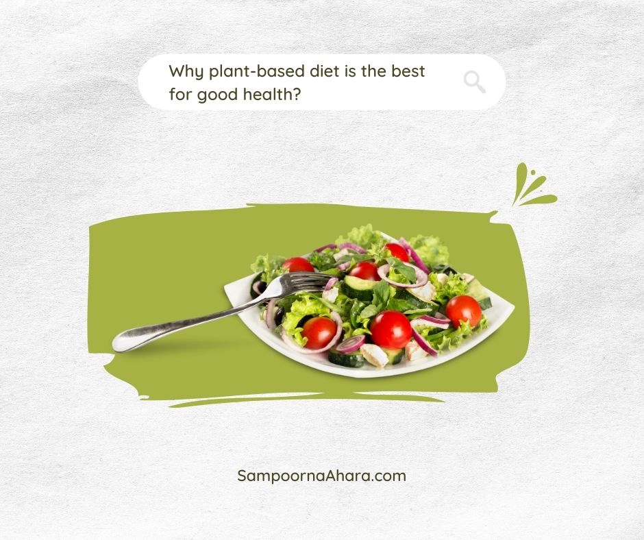 Why plant-based diet is the best for good health?
